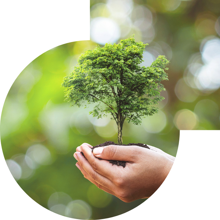 關懷人類、文化、環境與社會